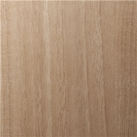 DI-NOC DW-2203MT Dry Wood Mat 48x16.4ft