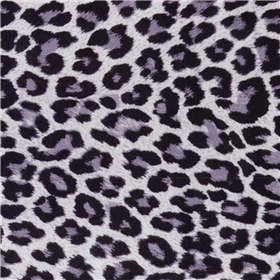 TFP Snow Leopard 12inx15in 10pk