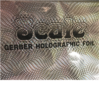 Edge FX GC Holographic Scale 25M